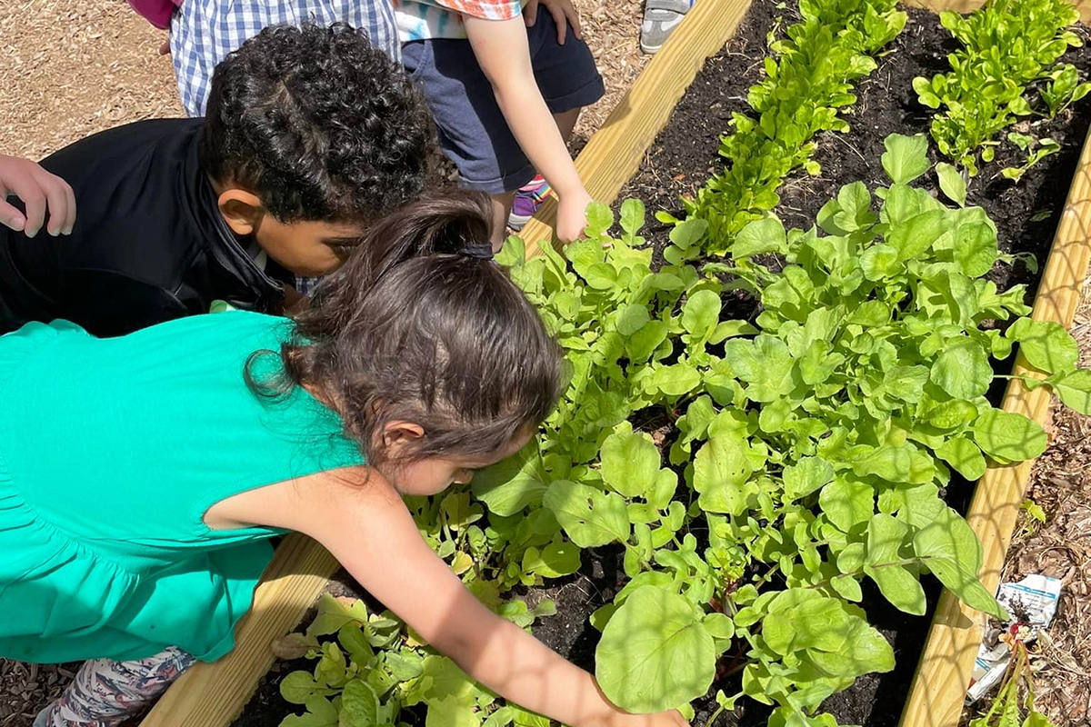 Gardening Nurtures Care & A Sense Of Responsibility