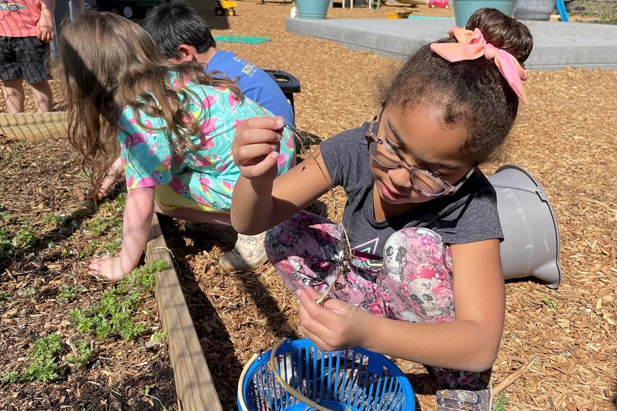 Gardening Teaches Science And A Connection To Nature